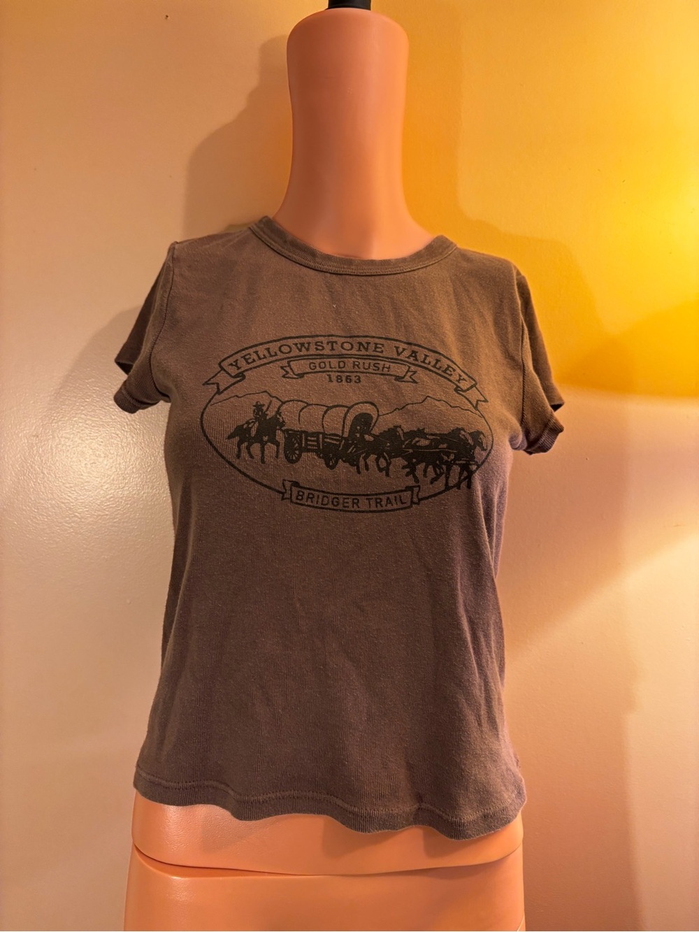 Vintage Olive Green Yellowstone Valley Graphic Tee